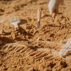 El pueblecito al que le toca la lotería arqueológica al descubrir un tesoro dorado único en toda Europa