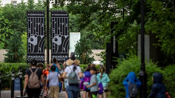 D.C.’s National Zoo set to have pandas again