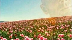 Los mejores memes deL
B. MGladbach-Real Madrid