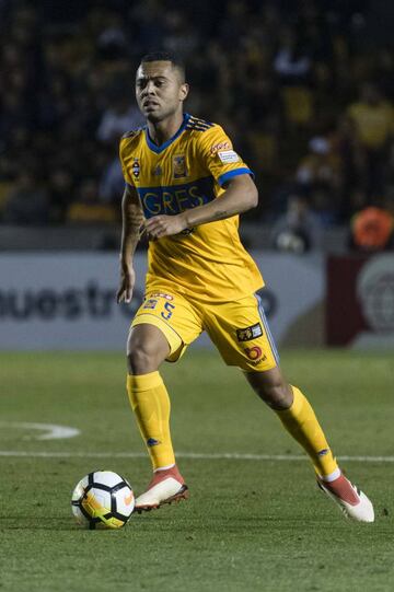 Rafael Carioca, Tigres