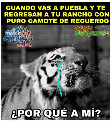 Los memes le abollan la corona a Tigres en el arranque del torneo