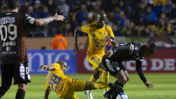 Tigres vs Pachuca, Liga MX