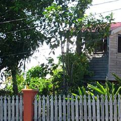 Acuden a la casa de un familiar después de su funeral y la casa-árbol escondía un suceso espeluznante