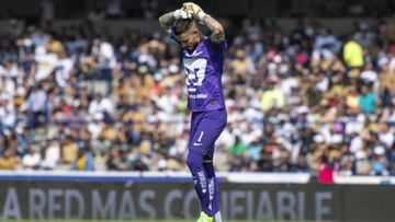 Alfredo Sald&iacute;var, Pumas