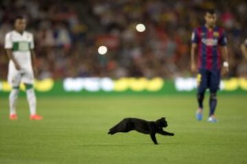 Un gato negro corre por el campo lo que ha obligado a interrumpir el partido entre el Barcelona y el Elche, correspondiente a la primera jornada de la Liga de Primera División, que se juega hoy en el Camp Nou.