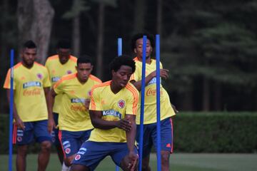 La primera práctica de la Selección en territorio italiano fue para realizar trabajos de recuperación física en campo y gimnasio. Cambiasso se unió al cuerpo técnico.