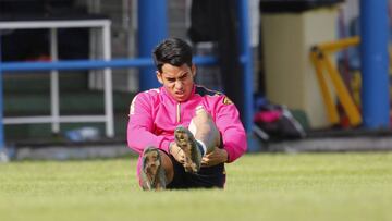Entre 6 meses y 1 a?o de prisi¨®n por no querer pasar un control