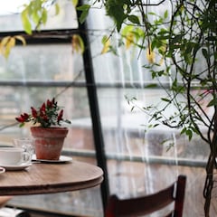 El 90% de las personas toman mal el café y por eso están cansados por las mañanas: esta es la manera correcta de hacerlo