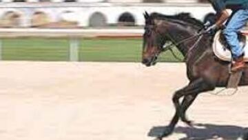 <b>CORRE, CORRE. </b>Pocos deportes tienen la plasticidad y belleza de las carreras de caballos. Esta imagen actual de La Zarzuela hace recobrar el entusiasmo.