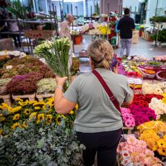 ¿Por qué el festivo del Día de Todos los Santos es el 7 de noviembre en Colombia?