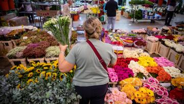 Una mujer sostiene un ramo de flores con motivo del día de Todos los Santos en Mercabarna, a 25 de octubre de 2022, Barcelona, Catalunya (España). Mercabarna es la sociedad gestora del polígono alimentario que concentra los mercados mayoristas de la ciudad de Barcelona y alrededores. Está formado por 3 mercados mayoristas y un matadero. Este centro dispone de tres zonas diferenciadas de comercialización (flor, planta y complementos) adaptadas a las necesidades de cada producto.
27 OCTUBRE 2022;BARCELONA;CATALUNYA;CATALUÑA;TODOS LOS SANTOS;FLORES
Kike Rincón / Europa Press
25/10/2022