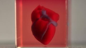 Consiguen imprimir en 3D el primer coraz車n real con tejido humano