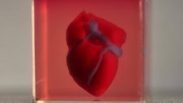 Consiguen imprimir en 3D el primer corazón real con tejido humano