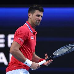 Djokovic: “La muñeca estará bien para el Abierto de Australia”