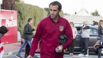 Diego Godín