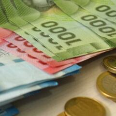 Bono Covid-19 en Chile: cómo saber si lo recibo y cuándo se entrega