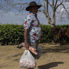 Ingreso Solidario 2021: cómo saber si recibiré el pago entre el 20 y el 27 de marzo