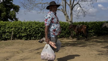 Ingreso Solidario 2021: cómo saber si recibiré el pago entre el 20 y el 27 de marzo