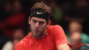 Del Potro se compromete a "poner todo" contra España