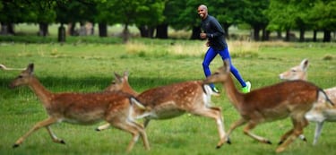 Mo Farah corre junto a los ciervos de Richmond Park