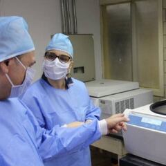 Nueva cepa del coronavirus: origen y posibles contagios y consecuencias