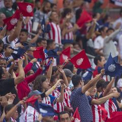 Chivas hace llamado contra grito homofóbico en los estadios