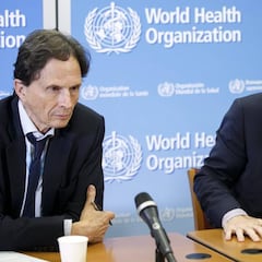 La OMS dice que el Zika no será un riesgo en los Juegos de Río