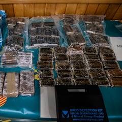 La Guardia Civil incauta el mayor ‘jardín’ de marihuana descubierto hasta el momento