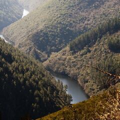 Día Mundial de la Tierra 2023: ¿Cómo mejorar el medio ambiente?