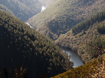 El río Bibei fluye por la provincia de Ourense hasta empatar con el río Sil. En las vueltas de su recorrido cruza las Terras de Trives, entre rocosas paredes en las que crecen viñas históricas. Partiendo de A Pobra de Trives, se desciende hasta A Ponte Bibei, exponente máximo de la herencia romana en la zona y que aún a día de hoy facilita el paso a Larouco y Valdeorras buscando el sorprendente destino final: el santuario de As Ermidas, elevado en las rocas. 