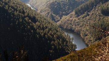 El río Bibei fluye por la provincia de Ourense hasta empatar con el río Sil.