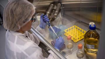 Johnson & Johnson iniciar¨¢ los ensayos de una vacuna contra el COVID-19
