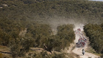 El mar de olivos tendrá un ganador inédito en 2025