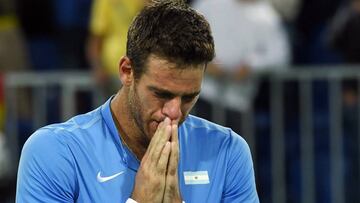 Juan Mart&iacute;n Del Potro after beating Roberto Bautista. 