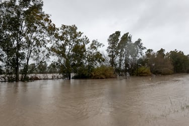 El río Guadalquivir desbordado por la zona de la Cartuja en Sevilla.