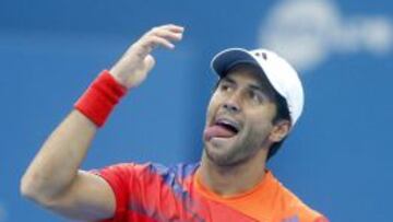 El tenista español Fernando Verdasco