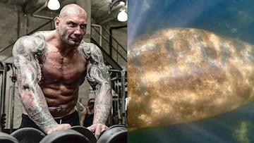 Dave Bautista y la recompensa por cazar al hombre que grab¨® 'Trump' en una vaca marina