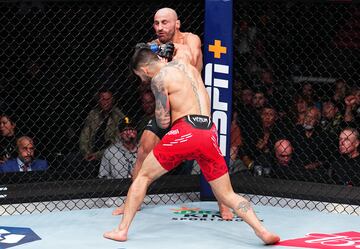 El luchador español nacido en Halle, una ciudad dentro del distrito de Gütersloh (Alemania), noqueó al mejor peleador de la historia del peso pluma, Volkanovski, tras un derechgazo brutal. De esta forma Ilia se convierte primer campeón nacional de la UFC.