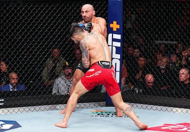 El luchador español nacido en Halle, una ciudad dentro del distrito de Gütersloh (Alemania), noqueó al mejor peleador de la historia del peso pluma, Volkanovski, tras un derechgazo brutal. De esta forma Ilia se convierte primer campeón nacional de la UFC.