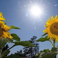 ¿Cuándo empieza y a qué hora llega el equinoccio de primavera en 2025 en México?: fechas clave y cuánto dura