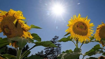 ¿Cuándo empieza y a qué hora llega el equinoccio de primavera en 2025 en México?: fechas clave y cuánto dura