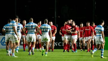 Perdieron Los Pumas y renunció Hourcade