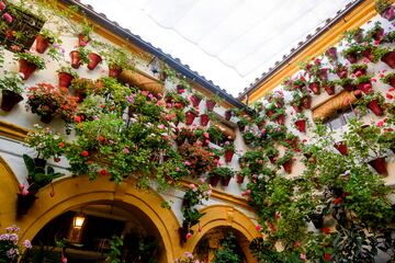 La fiesta de los patios de celebra a principios de mayo. Los patios comunes se ornamentan con plantas de numerosas variedades. La fiesta tiene dos acontecimientos principales: el Concurso de Patios y la Fiesta de los Patios de Crdoba.