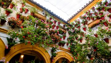 La fiesta de los patios de celebra a principios de mayo. Los patios comunes se ornamentan con plantas de numerosas variedades. La fiesta tiene dos acontecimientos principales: el Concurso de Patios y la Fiesta de los Patios de Córdoba.