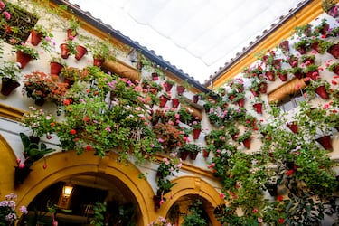 La fiesta de los patios de celebra a principios de mayo. Los patios comunes se ornamentan con plantas de numerosas variedades. La fiesta tiene dos acontecimientos principales: el Concurso de Patios y la Fiesta de los Patios de Córdoba.