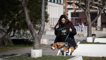 AME2849. BUENOS AIRES (ARGENTINA), 15/07/2020.- Una mujer con su tapabocas suelto pasea a su perro este mi&eacute;rcoles por el barrio Puerto Madero, en Buenos Aires (Argentina). El pa&iacute;s sudamericano completa m&aacute;s de 106.000 casos de COVID-19, mientras que los fallecimientos se elevaron ayer martes a 1.968. La provincia de Buenos Aires sigue siendo el distrito con m&aacute;s casos confirmados hasta el momento, con m&aacute;s de 57.000, seguida por la capital del pa&iacute;s, con m&aacute;s de 40.000 contagios confirmados. EFE/Juan Ignacio Roncoroni