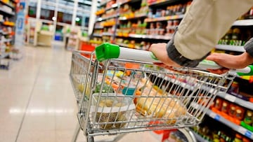 Bono Canasta Básica: cuándo se paga el aporte de marzo y cómo solicitar