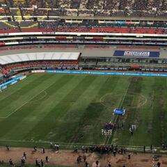 Turf Managers se deslinda de la responsabilidad del césped