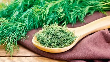 Dry dill in a spoon on a napkin, fresh herb on the background of an old wooden board