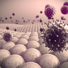 Viruela del Mono: Qué es, cómo se transmite y síntomas